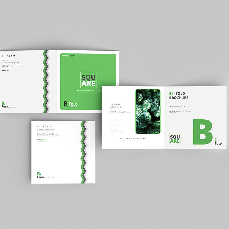 Commercial Flyer Printing - Custom Full Color Flyer Brochure Printing